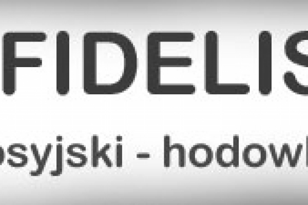 astrafidelis.eu 
